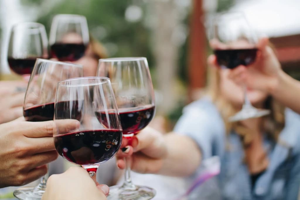 people cheersing glasses of red wine